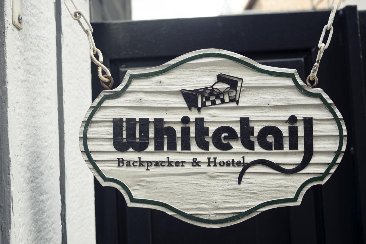 Whitetail Guesthouse Seoul Exterior photo